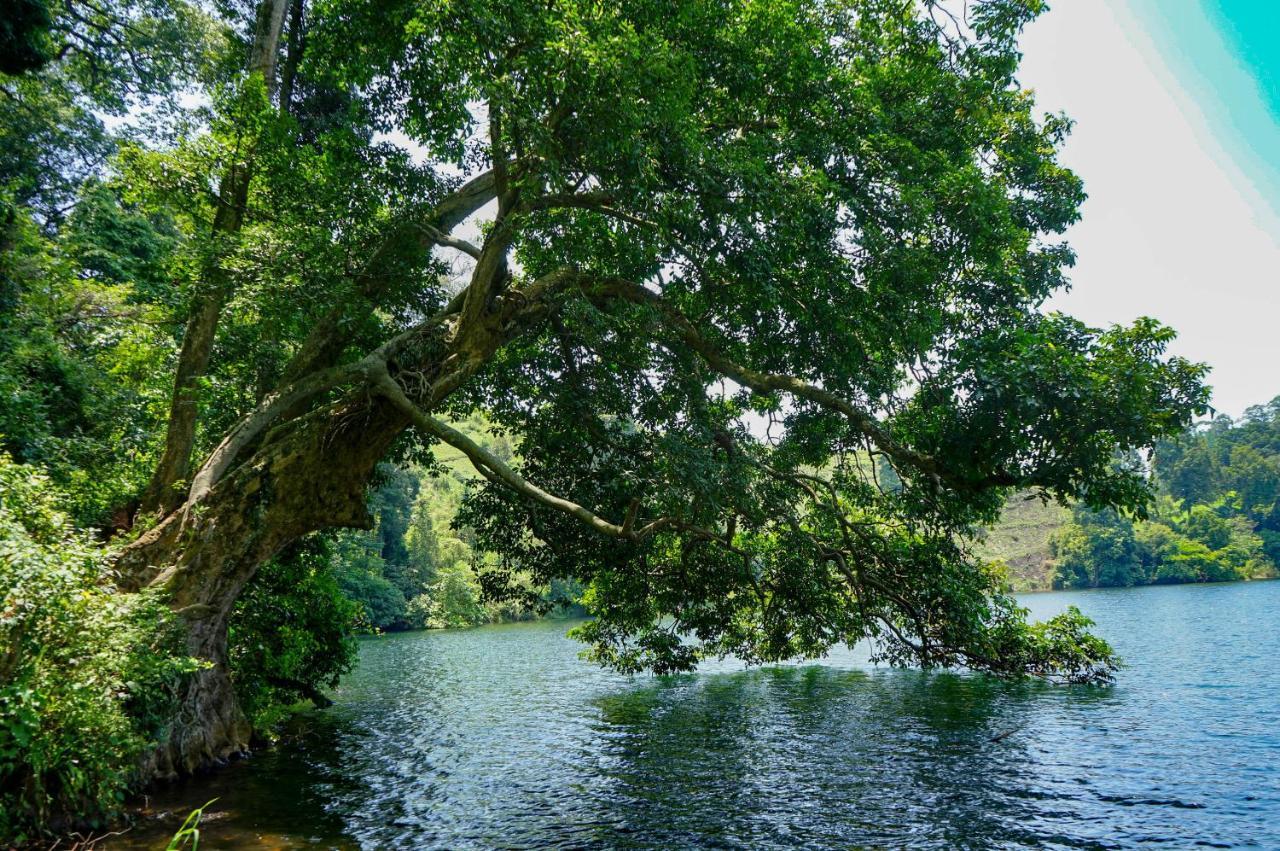 Lake Nyamirima Cottages Fort Portal Dış mekan fotoğraf